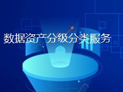 数据资产分类分级服务